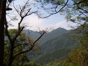 青木川國家級自然保護區