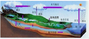 土壤水分蒸發蒸騰總量