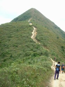 針山