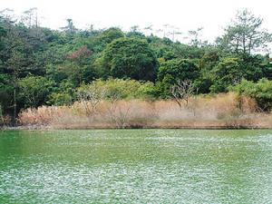 觀音山國家森林公園