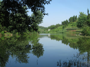 清流河