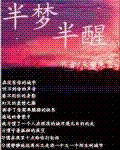 長篇小說《半夢半醒》封面