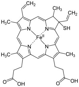 硫血紅蛋白