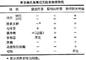 耶爾森氏菌屬