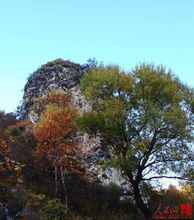 紫金山