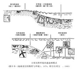 生物遺蹟構造