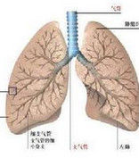 小兒毛細支氣管炎