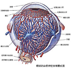 眼球運動障礙