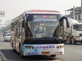 桂林公交36路