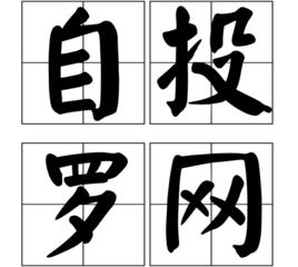 自投羅網[詞語]