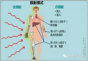 氡氣形成的放射性氣溶膠對人體健康的危害方式