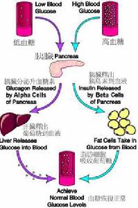 原發性腎性葡萄糖尿