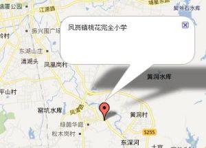 鳳崗鎮桃花完全國小 鳳崗鎮桃花完全國小