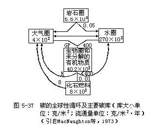 氣體型循環