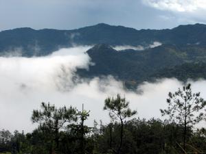 邵陽崀山旅遊區