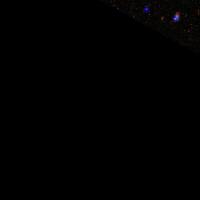 IC 2118 SDSS 彩色圖