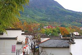 南山村[浙江杭州市餘杭區瓶窯鎮下轄村]