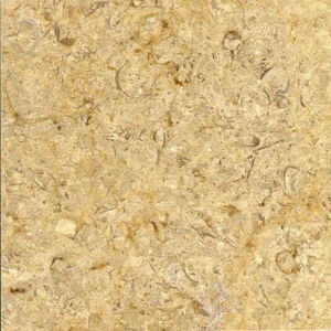 柏麗金 | PEARLLY YELLOW |