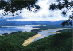 松花湖濕地