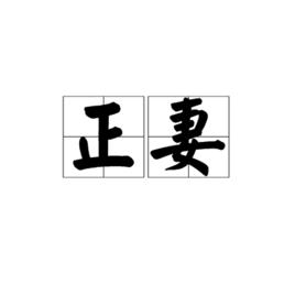 正妻[詞語]