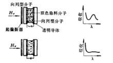 賓主效應示意圖