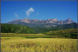 靈山風景