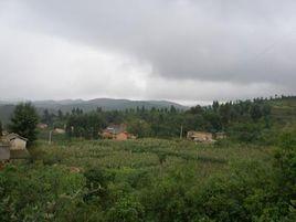 營山村[雲南省昭通市彝良縣龍海鄉營山村]