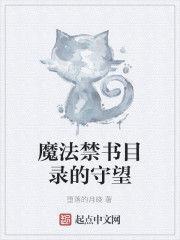 魔法禁書目錄的守望