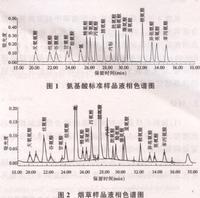 游離胺基酸亞