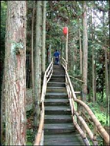 銅盆水森林公園