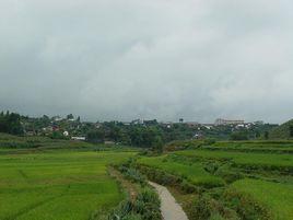 小王寨村