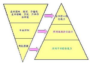 個體職業發展模型