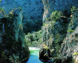 尼丁大峽谷