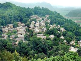 大洋村[山西省朔州市山陰縣安榮鄉下轄村]