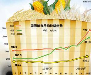 聯合國糧農組織認為第一代生物燃料造成糧食價格上漲