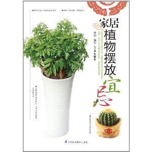 家居植物擺放宜忌