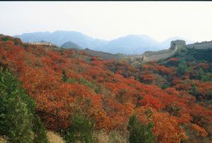 八達嶺森林公園婚紗攝影基地