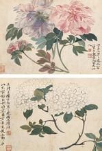 《錦石秋花圖》