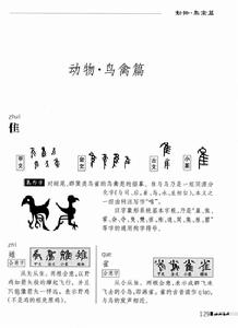 《發現漢字：圖說字根》