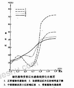 綠色植物受害後光譜曲線變化示意圖