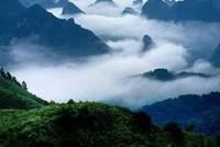 壩王嶺森林自然保護區