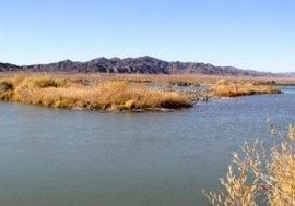 布爾根河河狸自然保護區