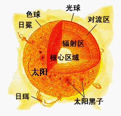 超米粒組織