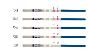 驗孕棒測試結果說明