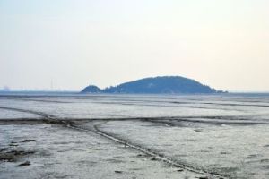 輞川鯉魚島