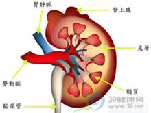 腎上腺皮質功能減退症