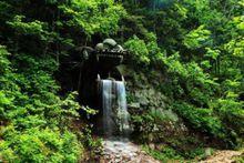 金頂山龍掌岩石峰風景區