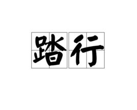 踏行[詞語]