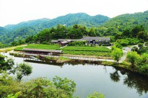 劉家山村[雲南省曲靖市會澤縣大井鎮劉家山村]