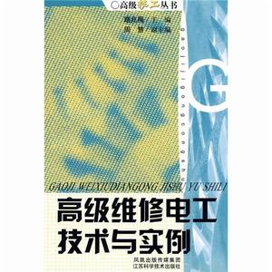 高級維修電工技術與實例